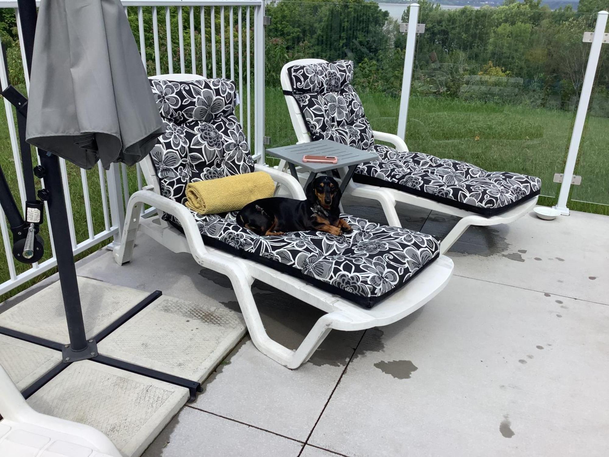 Les Saisons Du Fleuve Bed & Breakfast Lotbiniere Eksteriør bilde